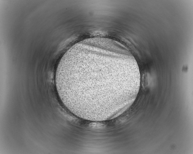 X0000089960714200707201949