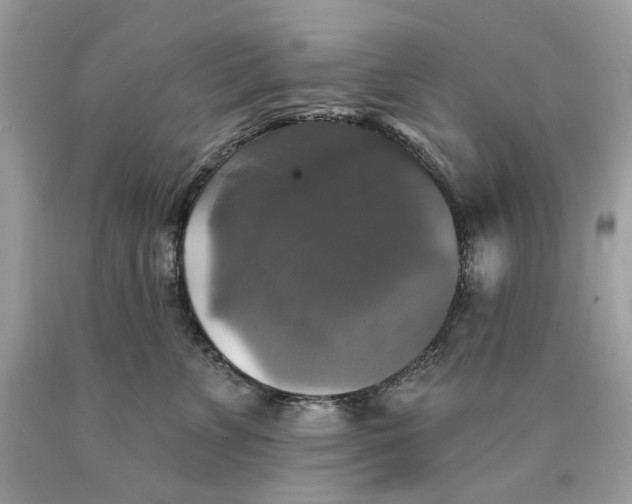 X0000089960715200707201949