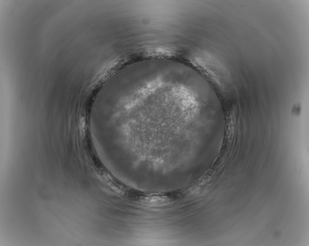 X0000089960716200707201949