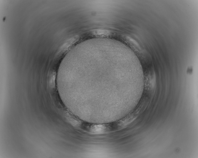 X0000089960717200707201949