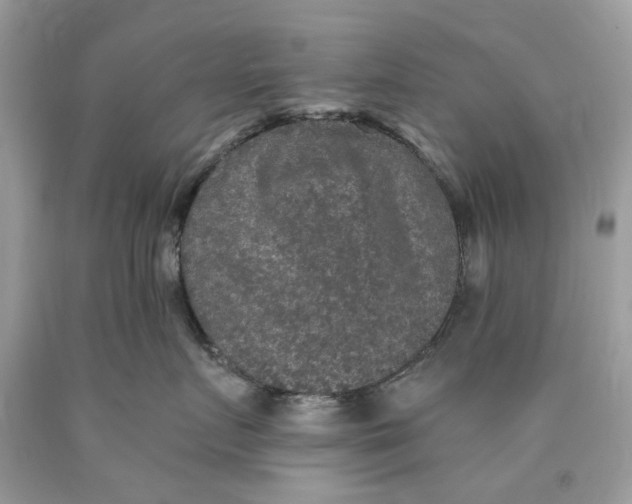 X0000089960719200707201949