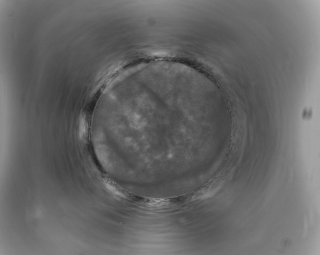 X0000089960720200707201949