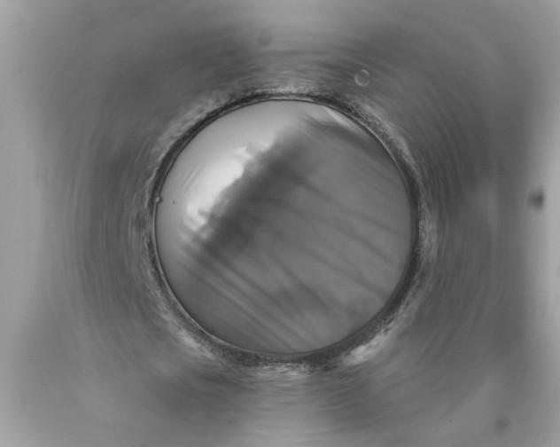 X0000089960721200707201948