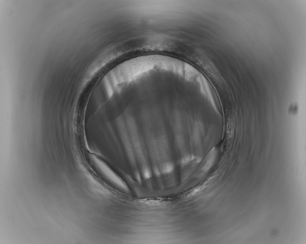 X0000089960722200707201948