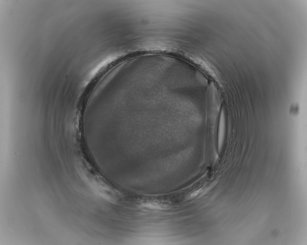 X0000089960723200707201948