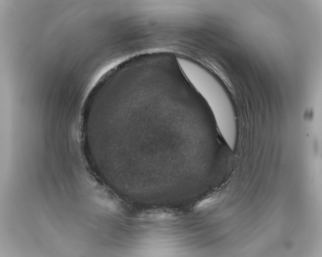 X0000089960724200707201948