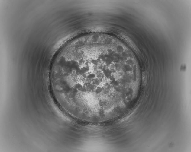 X0000089960725200707201948