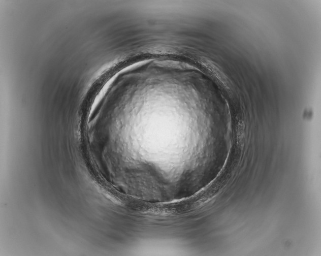 X0000089960727200707201948