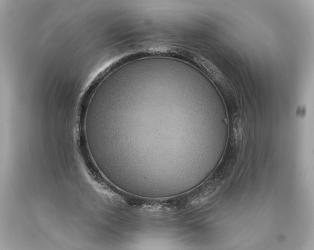 X0000089960728200707201948