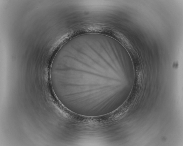 X0000089960729200707201948