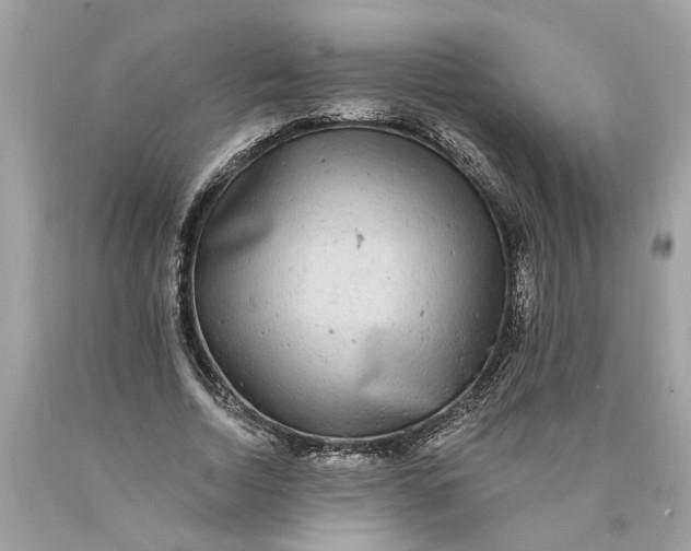 X0000089960730200707201948