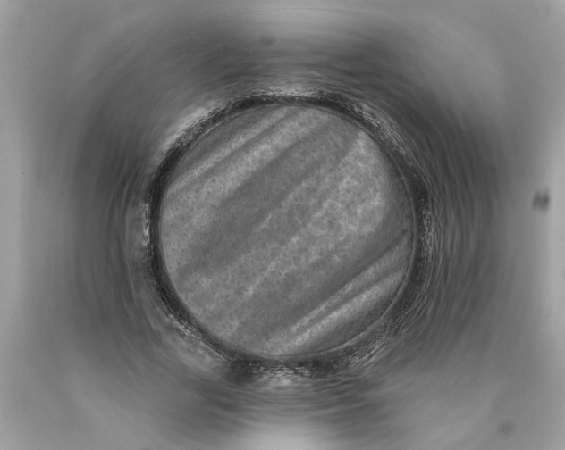 X0000089960731200707201948