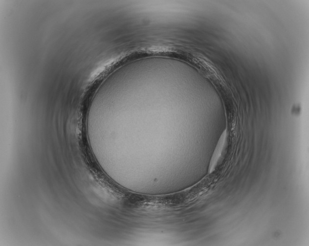 X0000089960732200707201948