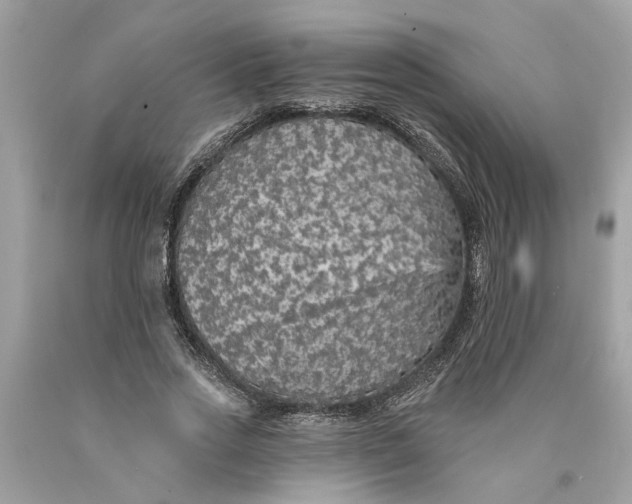 X0000089960733200707201948