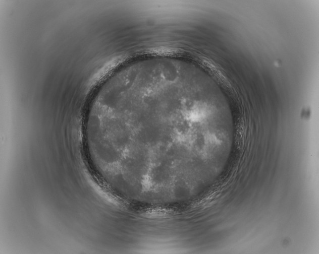 X0000089960734200707201948