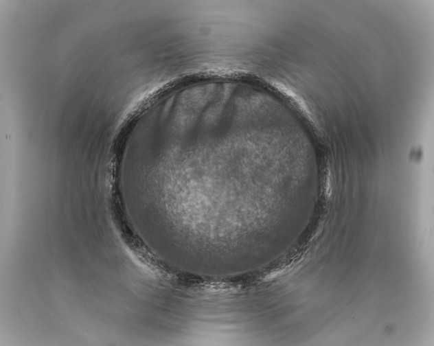 X0000089960736200707201948