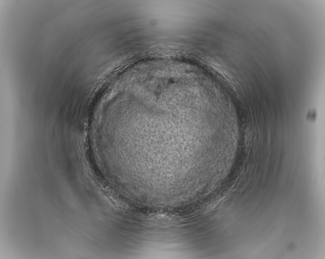 X0000089960737200707201948