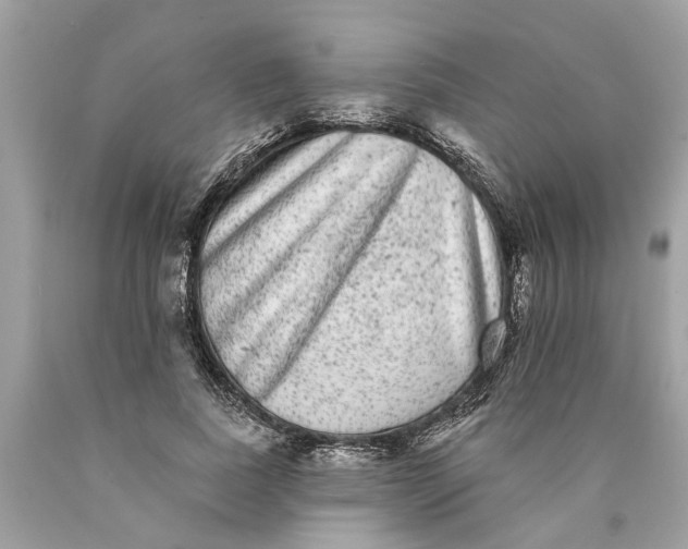 X0000089960739200707201948