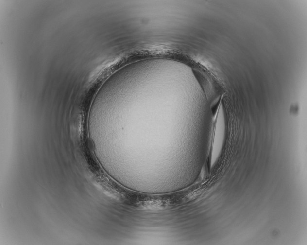 X0000089960740200707201948