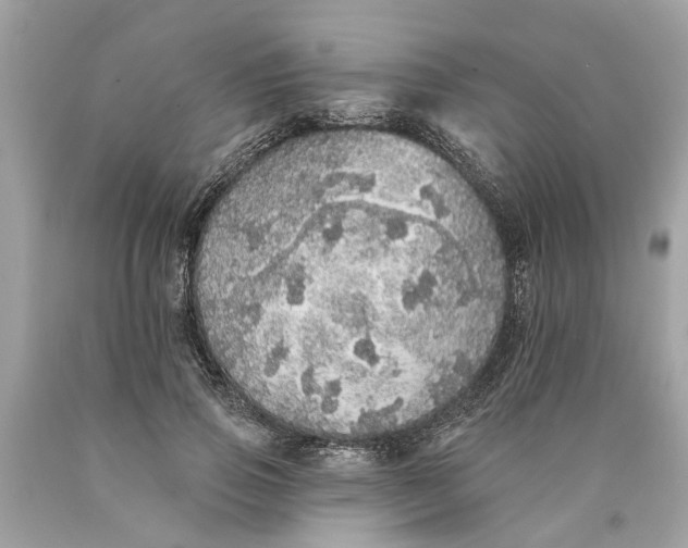 X0000089960741200707201948