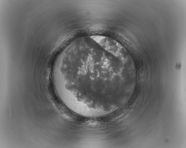 X0000089960742200707201948