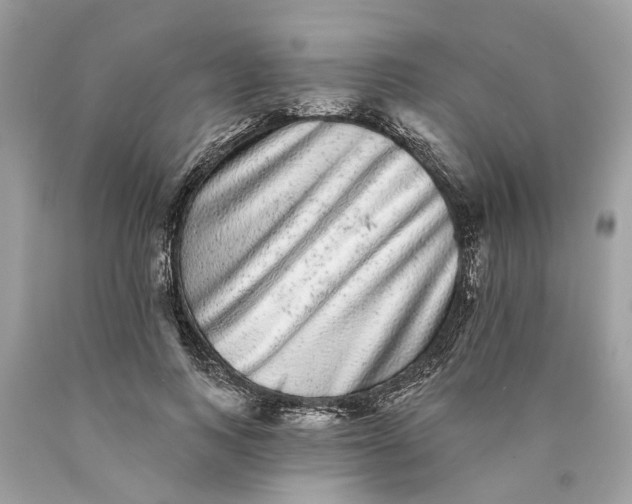 X0000089960743200707201948