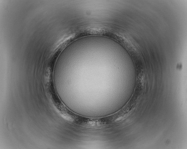 X0000089960744200707201948