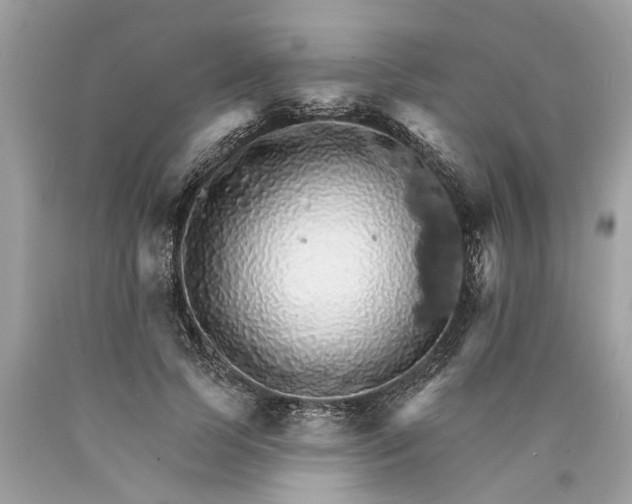 X0000089960745200707201948