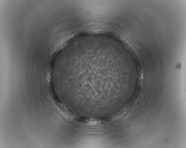 X0000089960746200707201948