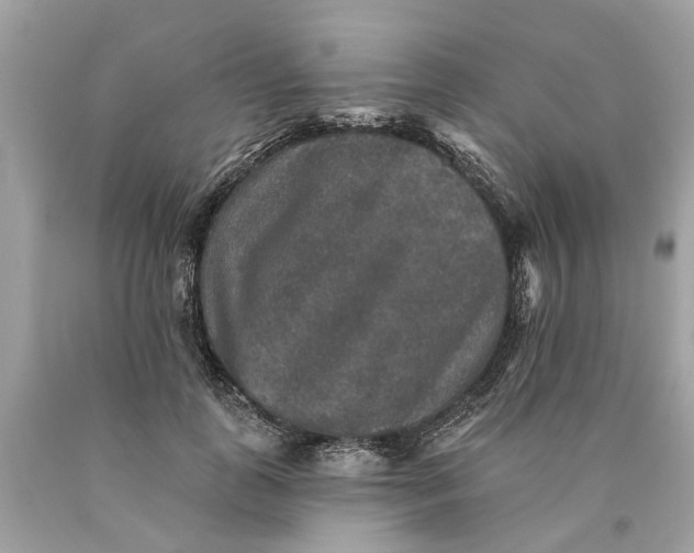 X0000089960747200707201948