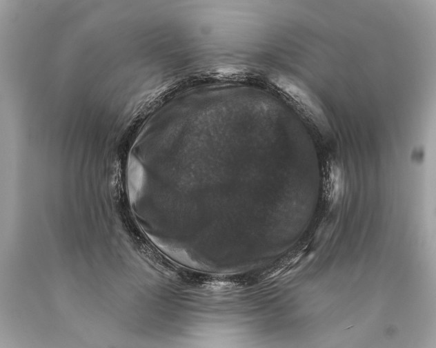 X0000089960748200707201948