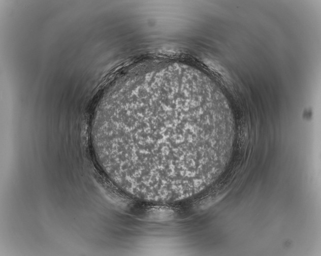 X0000089960749200707201948