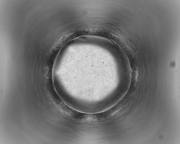 X0000089960750200707201948