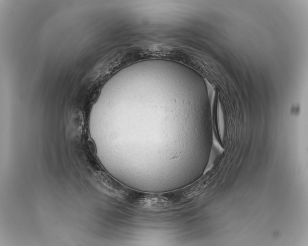 X0000089960752200707201948