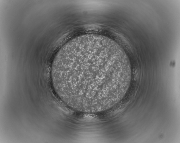 X0000089960753200707201948