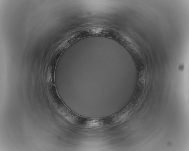 X0000089960754200707201948