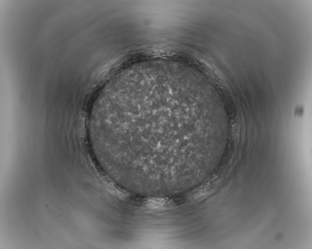 X0000089960757200707201948