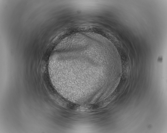 X0000089960758200707201948