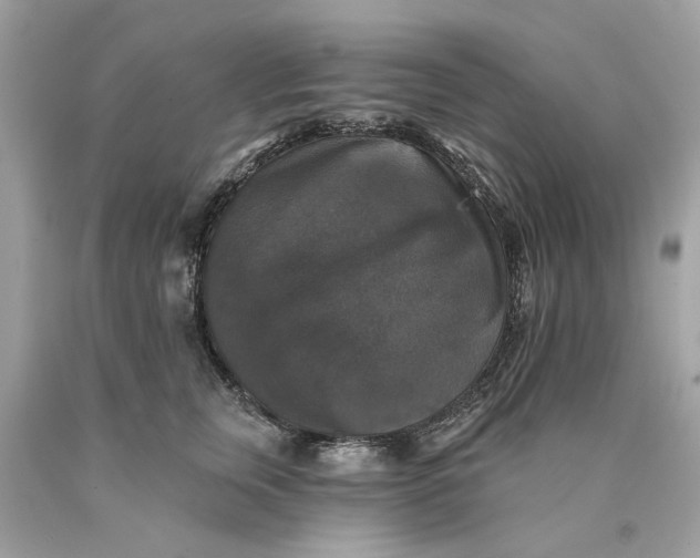 X0000089960759200707201948