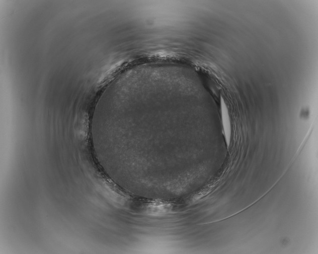 X0000089960760200707201948