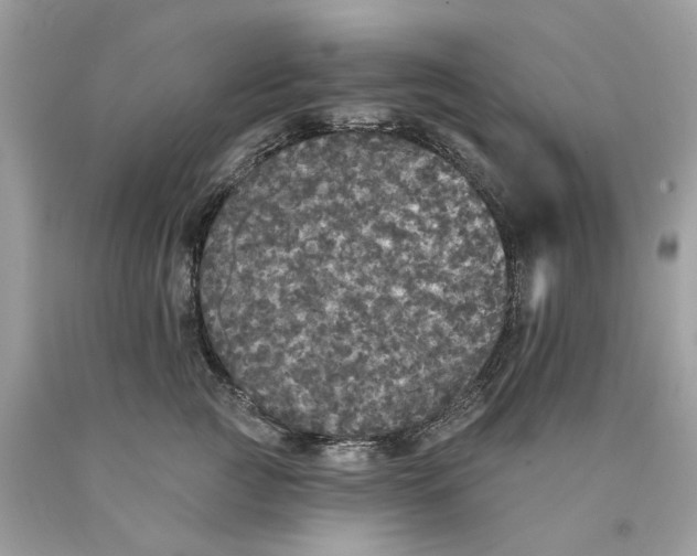 X0000089960761200707201948