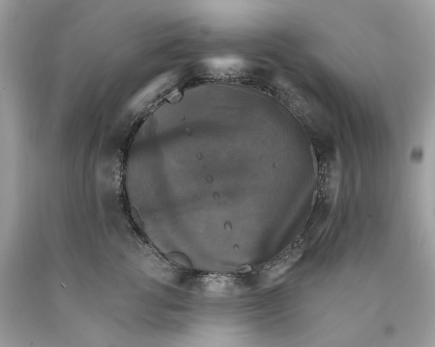 X0000089960762200707201948