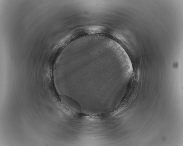 X0000089960763200707201948