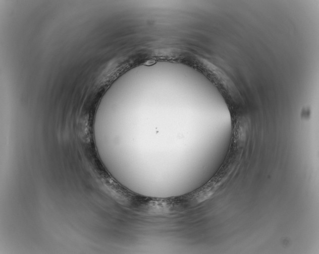 X0000089960764200707201948