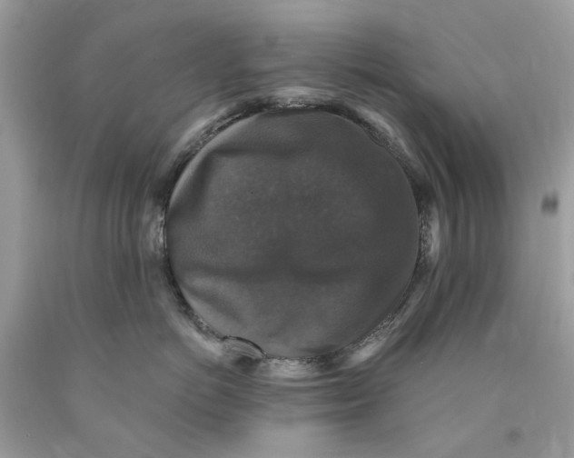 X0000089960766200707201948