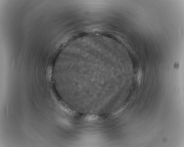 X0000089960767200707201948