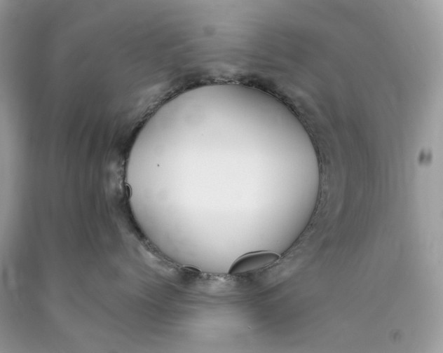 X0000089960768200707201949