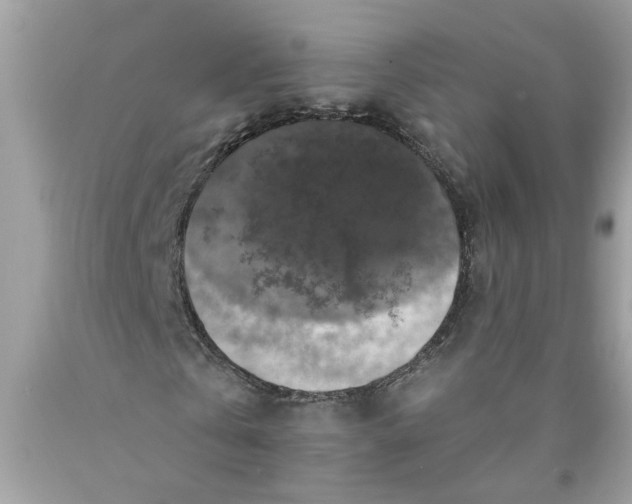 X0000089960769200707201948