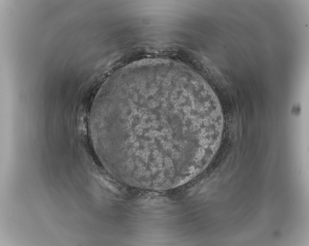 X0000089960770200707201948