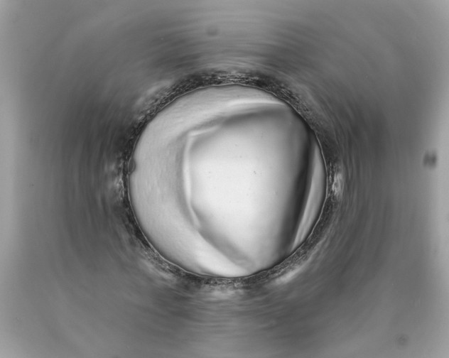 X0000089960771200707201948